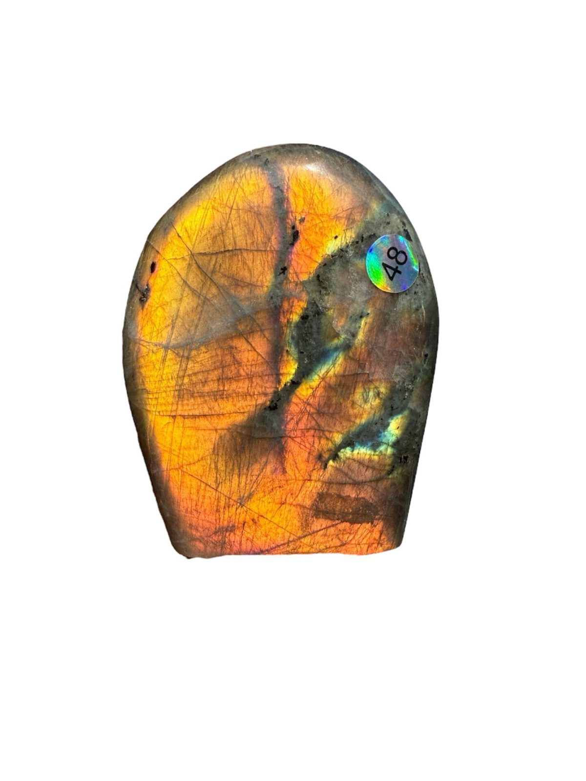 Forme Libre Labradorite – N°48 – 230 g
