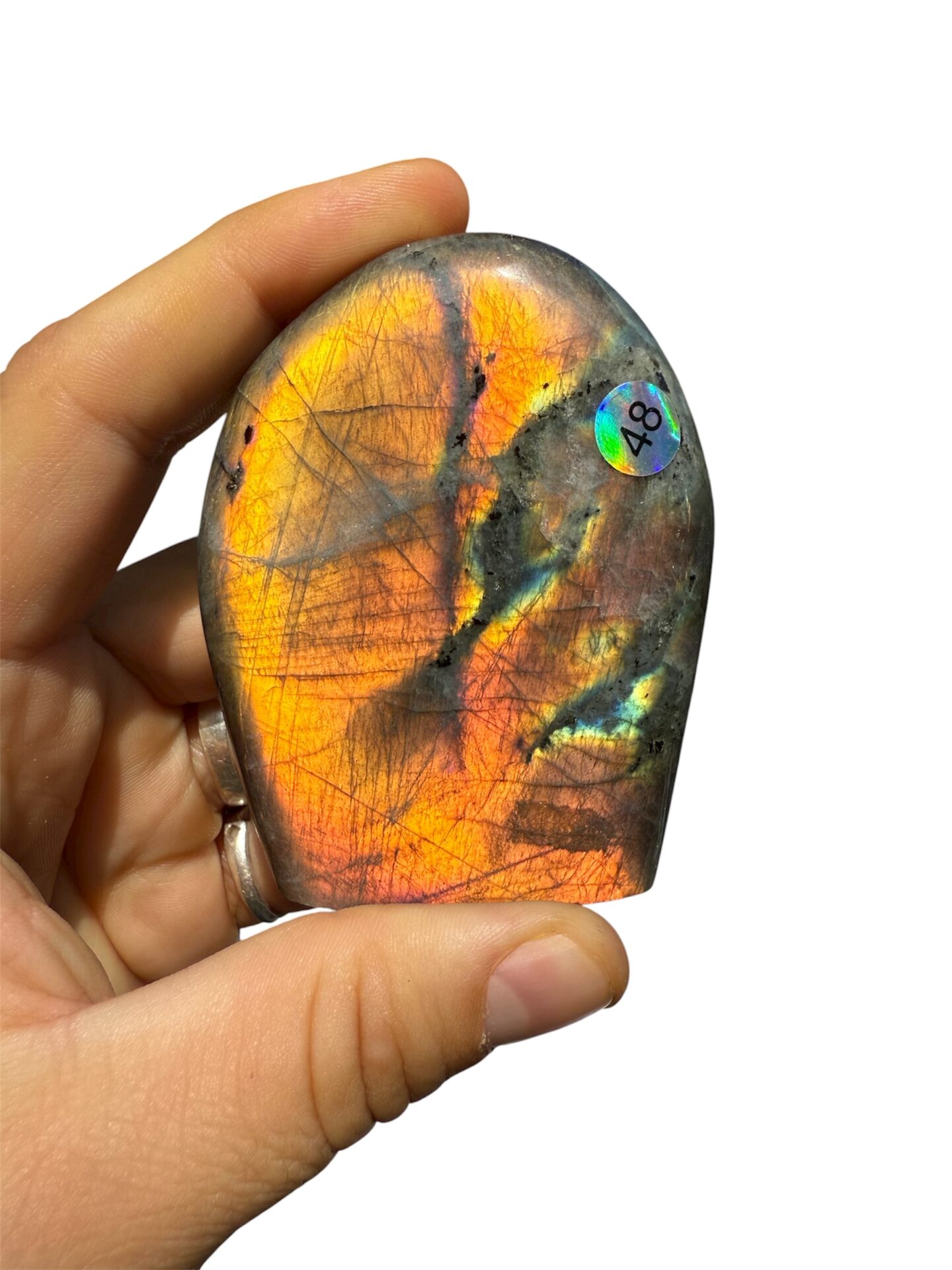 Forme Libre Labradorite – N°48 – 230 g – Image 2