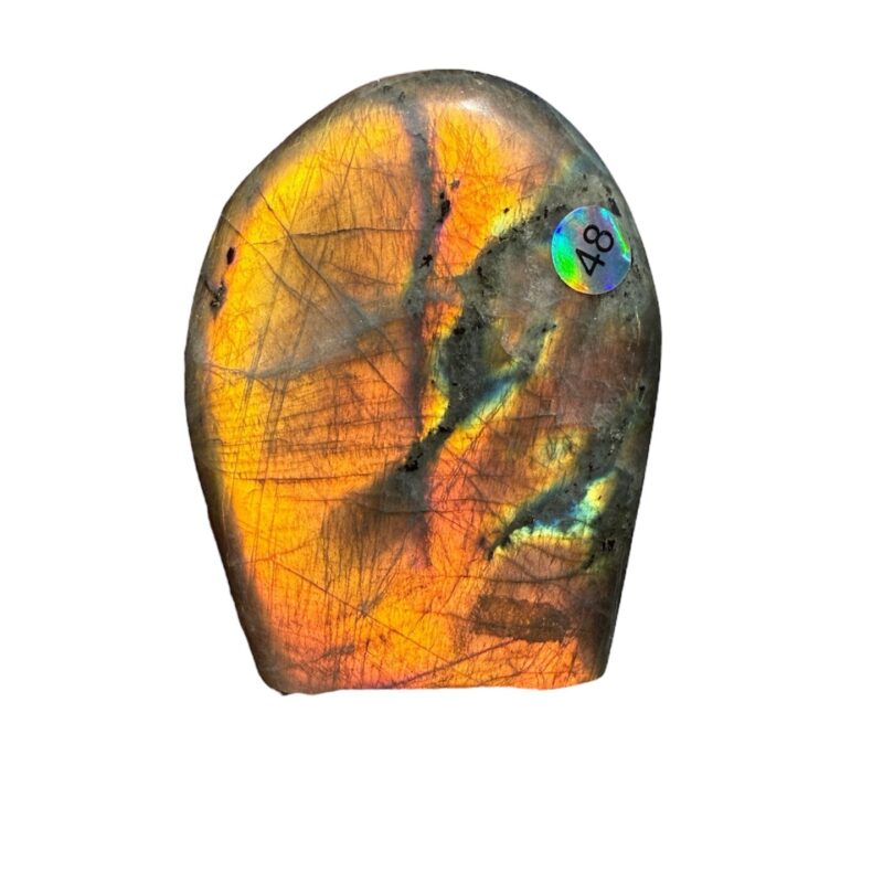 Forme Libre Labradorite – N°48 – 230 g